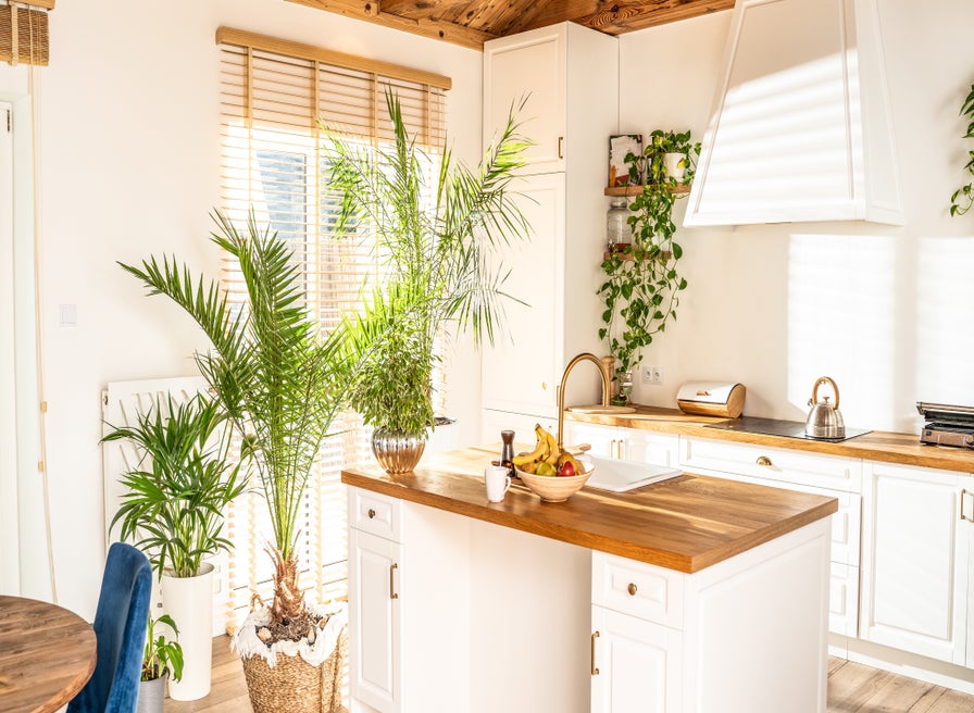 Seasonal Scoop Kings