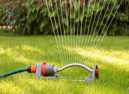 Planting For Perfection - Lawns