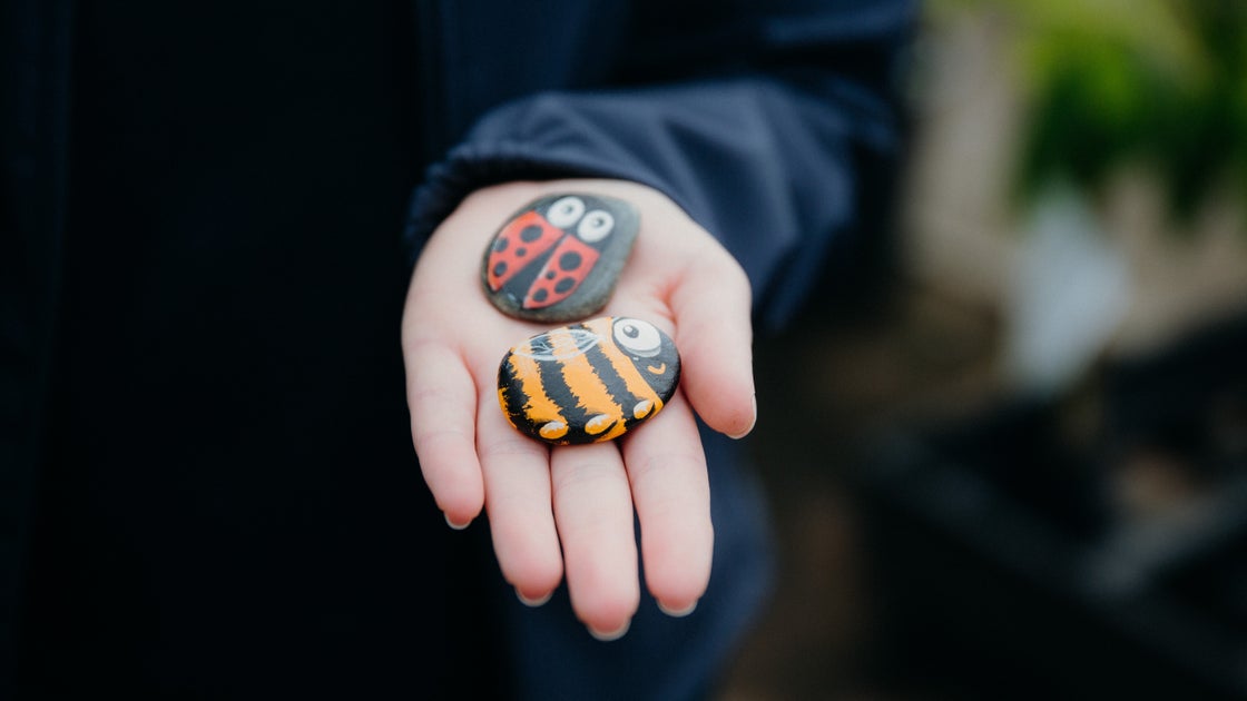 Painted Stone Critters