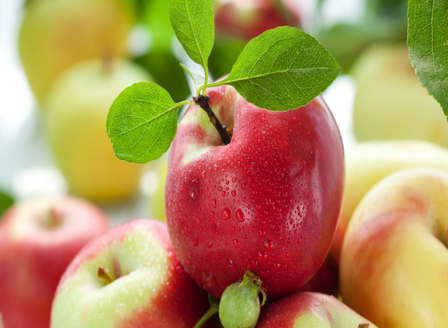 Deciduous Fruit - Your Kitchen Garden