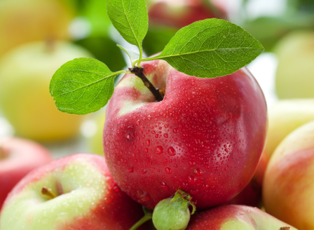 Deciduous Fruit - Your Kitchen Garden