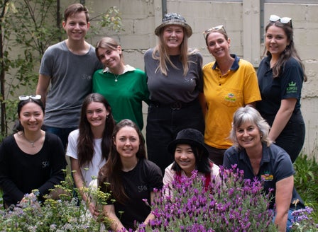 Kings in the Community - University of Auckland Bee Sanctuary