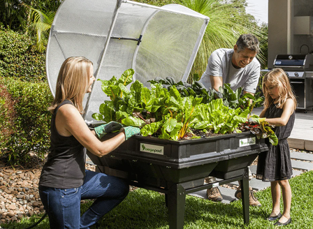 Vegepod Raised Garden Beds