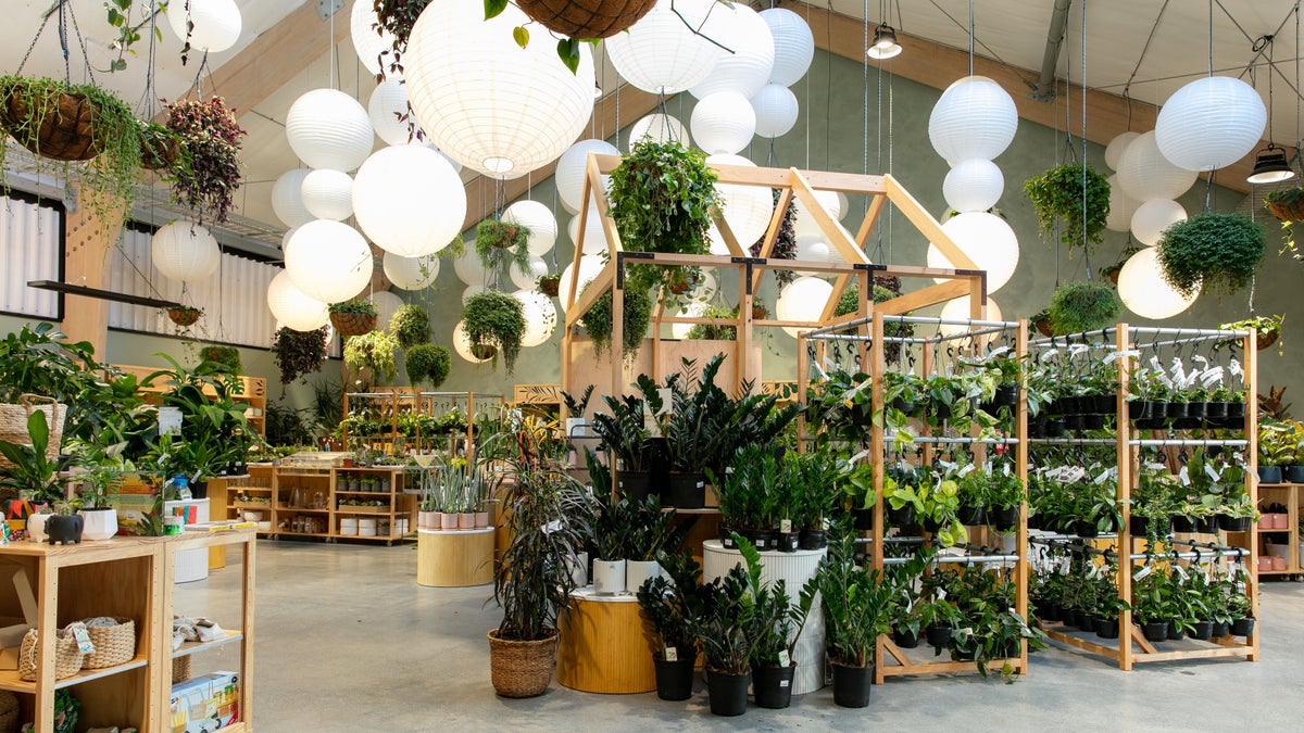 Introducing Kings Plant Barn Stonefields