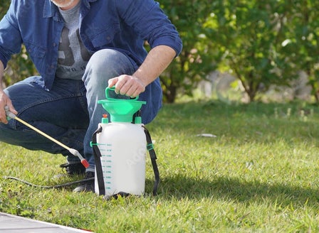 Spraying in the Garden