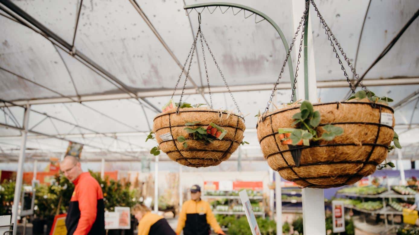 DIY Strawberry Hanging Baskets