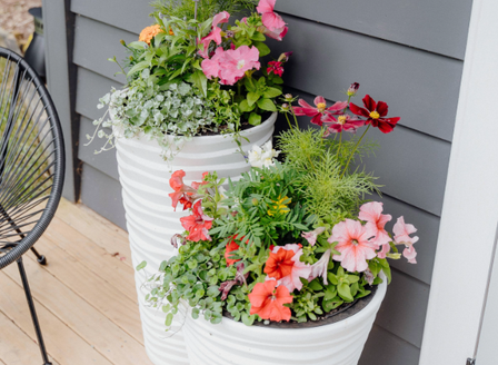 Elevate Your Garden with Spring Colour
