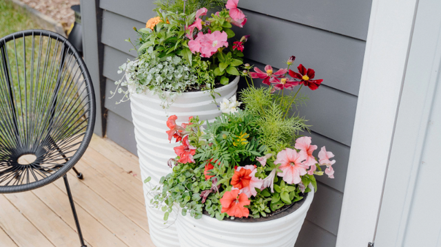 Elevate Your Garden with Spring Colour