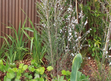 A Quick Guide To Spring Fertilising