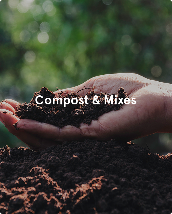 Kings Plant Barn NZ Garden Centres, Shop Online, Cafes