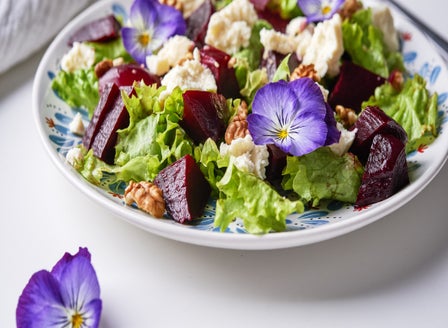 A  Quick Guide to Growing Edible Flowers