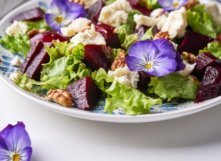 A  Quick Guide to Growing Edible Flowers