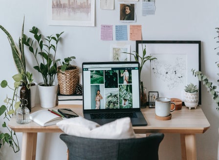 Bring your Office to Life with Indoor Plants
