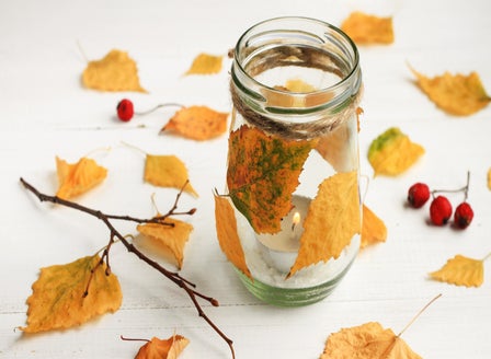 Little Growers Activity: Autumn Lanterns