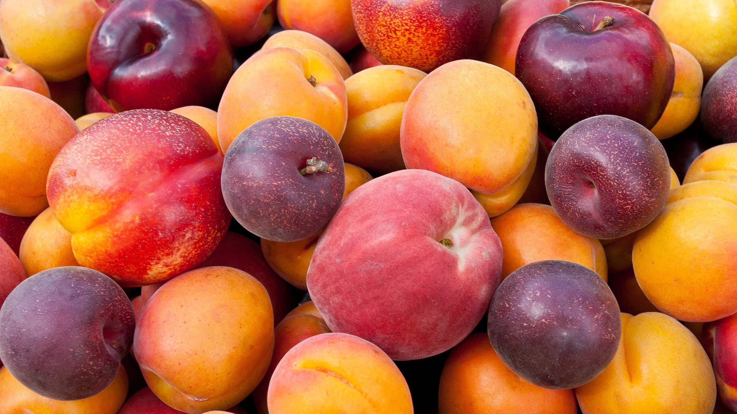 Deciduous Fruit Trees