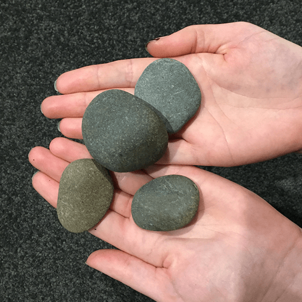 Painted Stone Critters