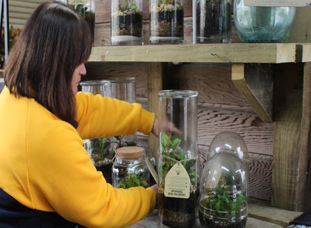Passionate Plant People: The Art of Terrariums