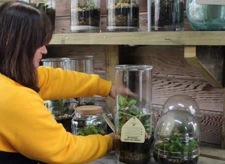 Passionate Plant People: The Art of Terrariums