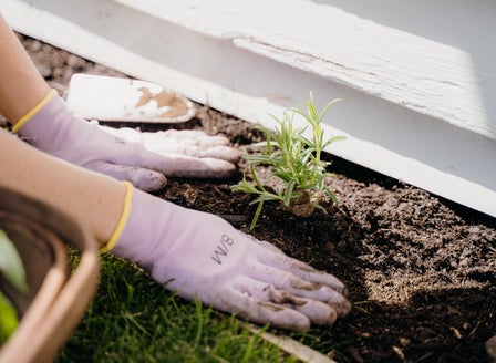 Safe Soil Handling