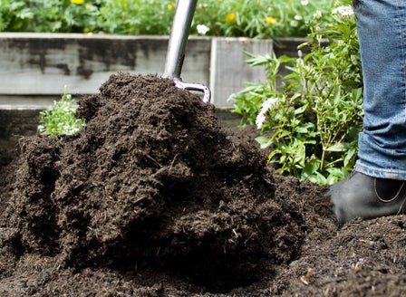 Creating A Garden That Will Survive The Heat of Summer
