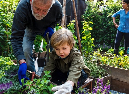 Growing Your Own Produce