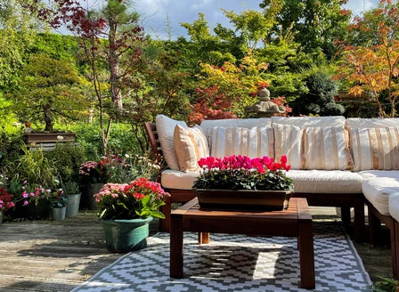 Brighten Up Your Garden With Winter Colour