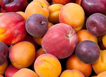 A Beginner's Guide to Deciduous Fruit