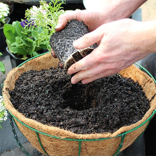 Hanging Baskets Made Easy