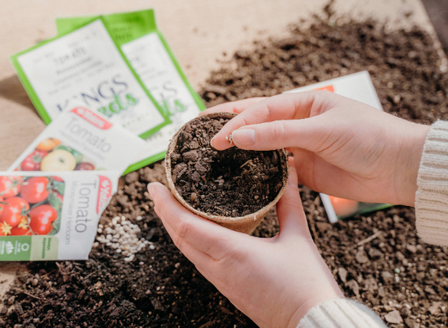 Starting From Seed - Sow and Grow