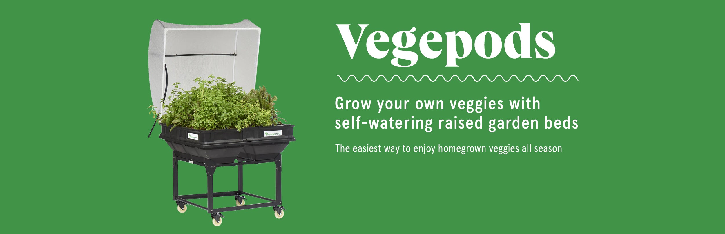 Kings Plant Barn NZ Garden Centres, Shop Online, Cafes