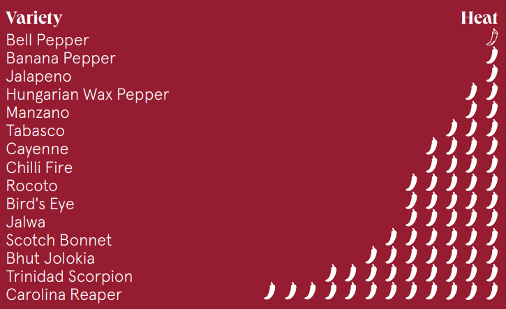 Chilli Categorized Turn Up The Temperature with Chillies