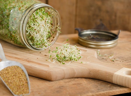 All About Microgreens and Sprouts