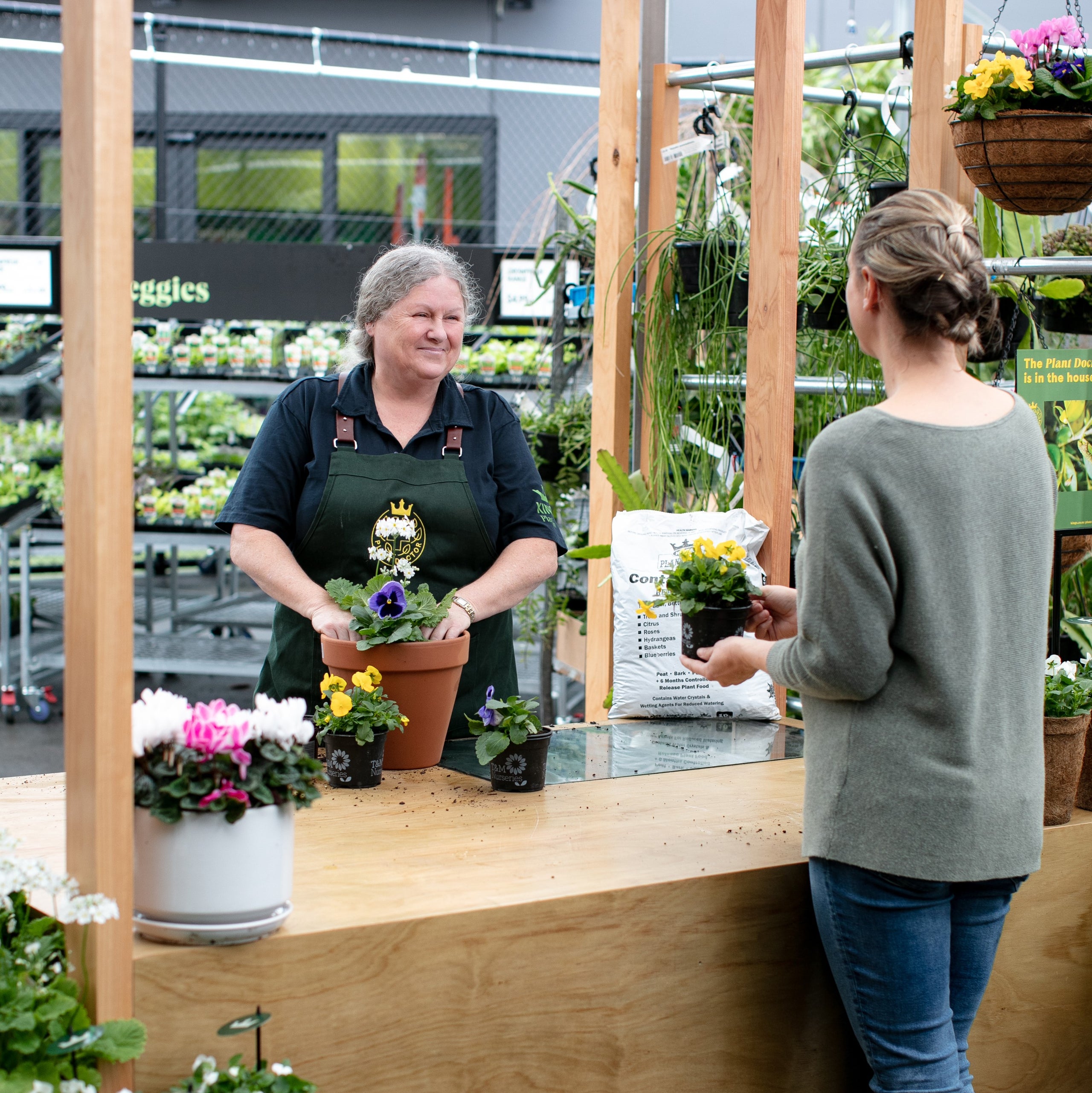 Introducing Kings Plant Barn Stonefields