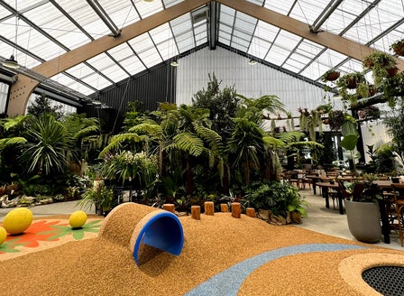 Introducing Kings Plant Barn Stonefields