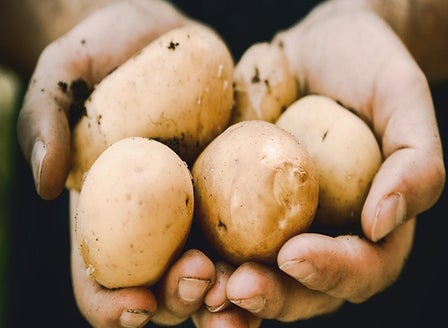 Our Guide to Potato Varieties