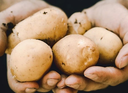 Our Guide to Potato Varieties
