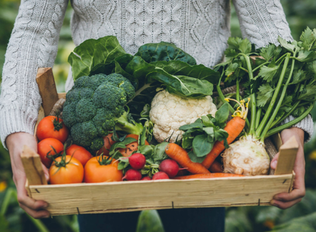 The Journey to Growing Organic
