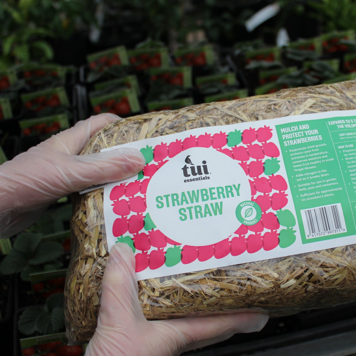 DIY Strawberry Hanging Baskets