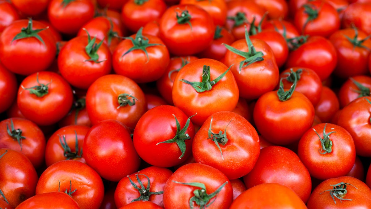 Our Guide to Tomato Varieties