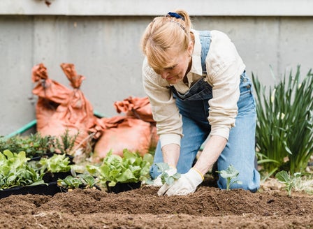 Navigating the Cost of Eating