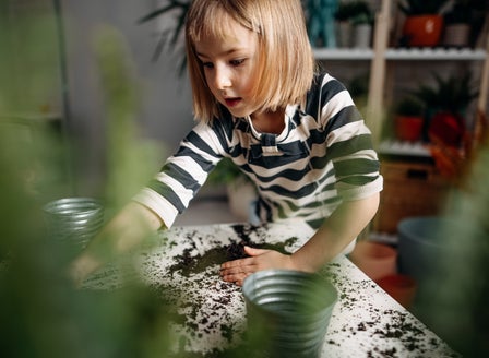 Little Growers Activity: Seed Flower Balls