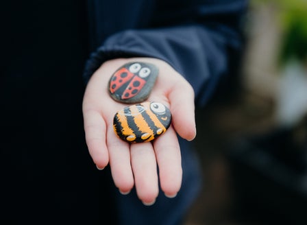 Little Growers Activity: Painted Stone Critters