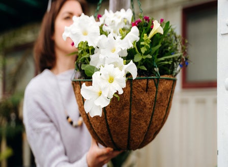 Hanging Baskets Made Easy