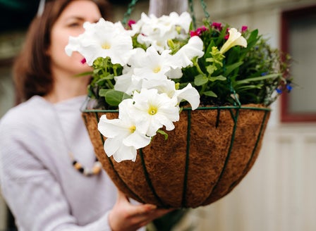 Hanging Baskets Made Easy