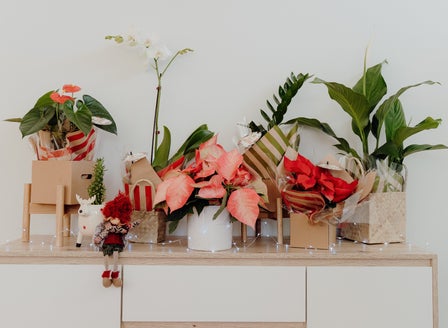 Give a greener gift