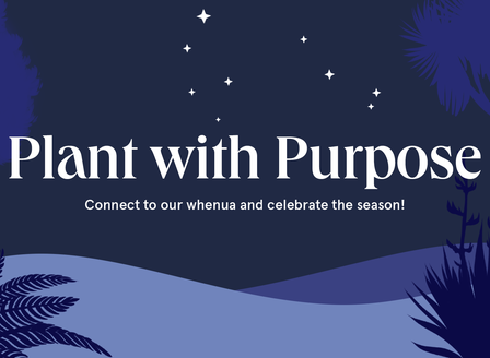 Plant With Purpose - Matariki In The Garden