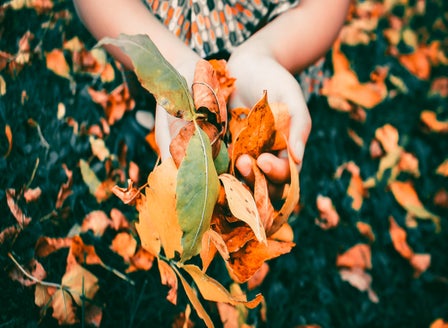 Love your Autumn Garden