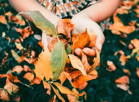 Love your Autumn Garden