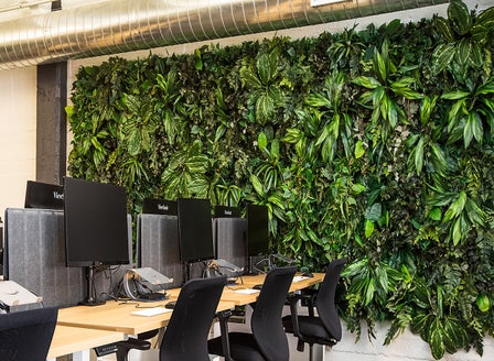 How to Create a  Living Wall