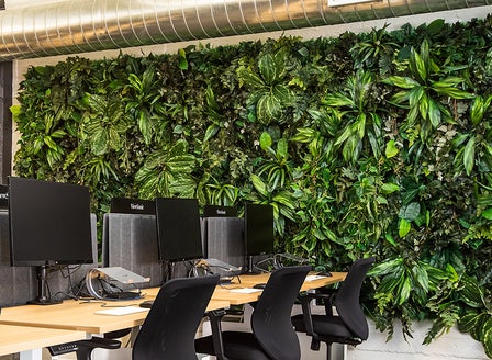 How to Create a  Living Wall